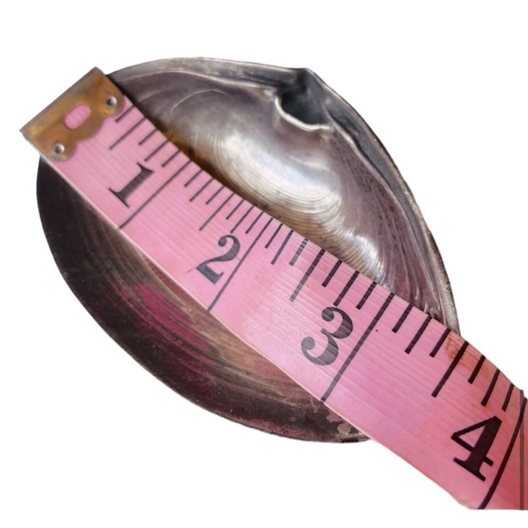 2 small size Vintage Wallace Sterling Silver Footed Oyster Clam Serving Dishes - Picture 5 of 7